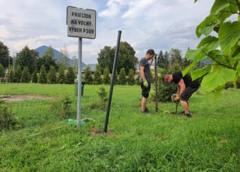 Na sídlisku Roveň vzniká pilotný projekt na voľný výbeh psov 