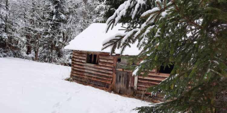 V Čutkovskej doline vzniká zázemie pre edukačné stredisko a minimúzeum lesníckej činnosti 