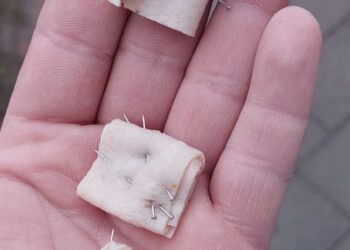 V meste sa znova objavili nebezpečné návnady pre psy