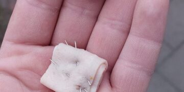 V meste sa znova objavili nebezpečné návnady pre psy