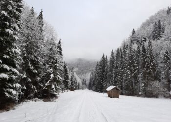 Víkendové sneženie prinesie desiatky centimetrov snehu