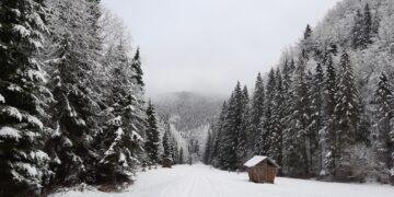 Víkendové sneženie prinesie desiatky centimetrov snehu