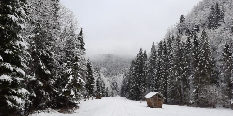 Víkendové sneženie prinesie desiatky centimetrov snehu