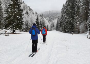 Nízke teploty a slnečno: Čaká nás rozprávkové zimné počasie