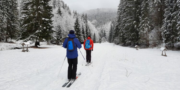Nízke teploty a slnečno: Čaká nás rozprávkové zimné počasie