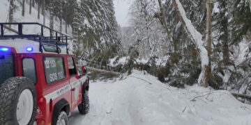 Popadané stromy na Smrekovici