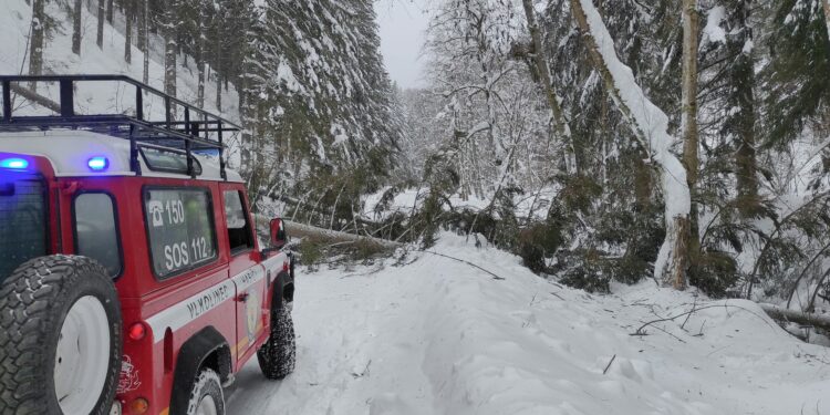 Popadané stromy na Smrekovici