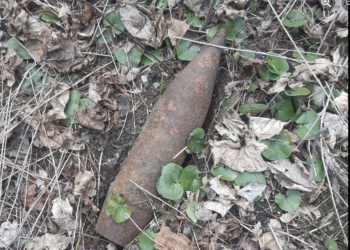 Na Deň Zeme čistili prírodu, našli muníciu z druhej svetovej vojny