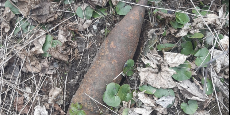 Na Deň Zeme čistili prírodu, našli muníciu z druhej svetovej vojny