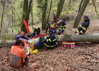 Nad Liptovskými Revúcami privalil lesného robotníka strom. Do nemocnice ho odvážal vrtuľník