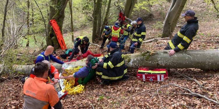 Nad Liptovskými Revúcami privalil lesného robotníka strom. Do nemocnice ho odvážal vrtuľník