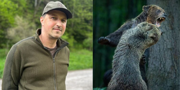 Zúriace medvede z Veľkej Fatry vyhrali Liptákovi prestížnu fotografickú súťaž