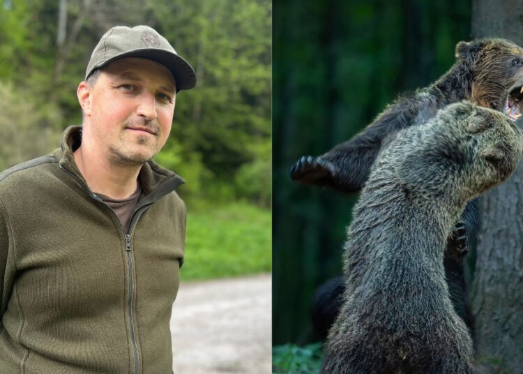 Zúriace medvede z Veľkej Fatry vyhrali Liptákovi prestížnu fotografickú súťaž