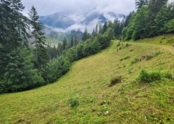 Za týždeň navštívilo Národný park Veľká Fatra takmer 7-tisíc turistov