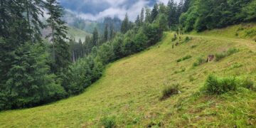 Za týždeň navštívilo Národný park Veľká Fatra takmer 7-tisíc turistov